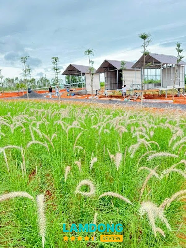 homestay Nàng Lam 2 – khuôn viên