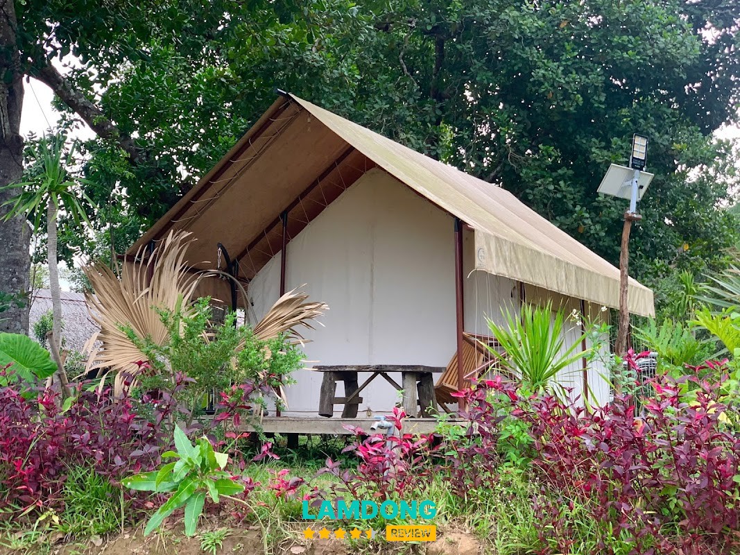 La Ngâu Rockstream Homestay & Camp
