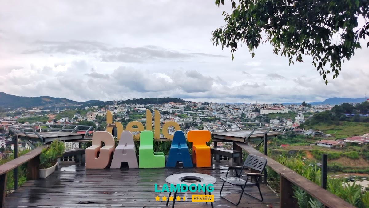 Chay Dalat view đồi