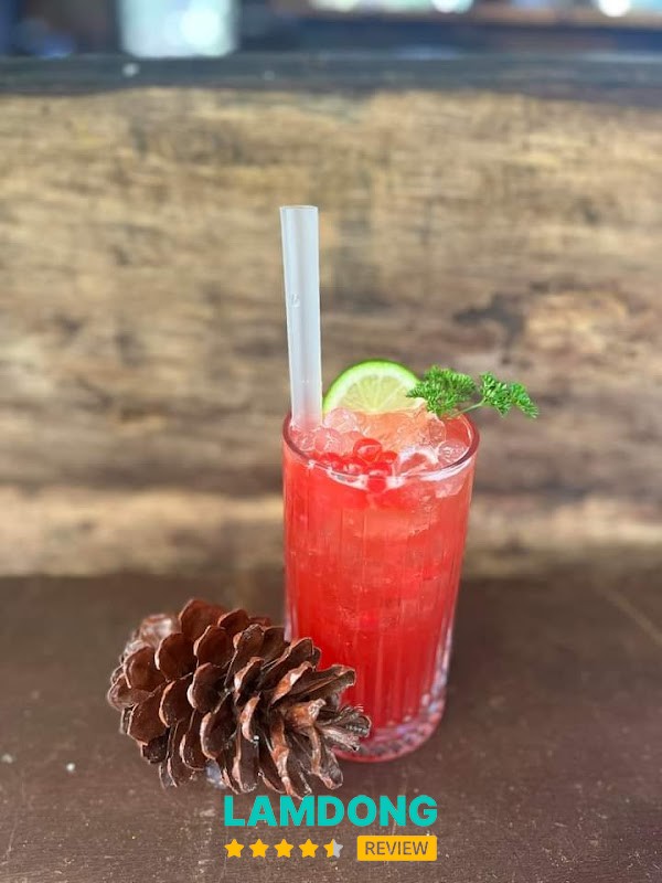 Nhà Gỗ Trong Rừng – rừng thông