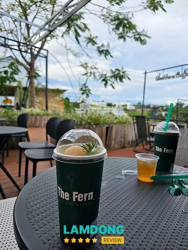 The Fern Tea and Coffee – cây dương xỉ