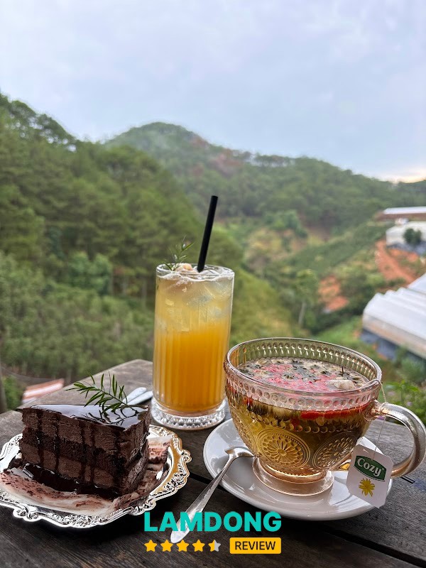 Nhà Bên Rừng – không gian rừng thông chill