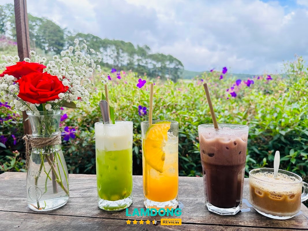 Cafe Trong Rừng Mimosa – quán cà phê trong rừng