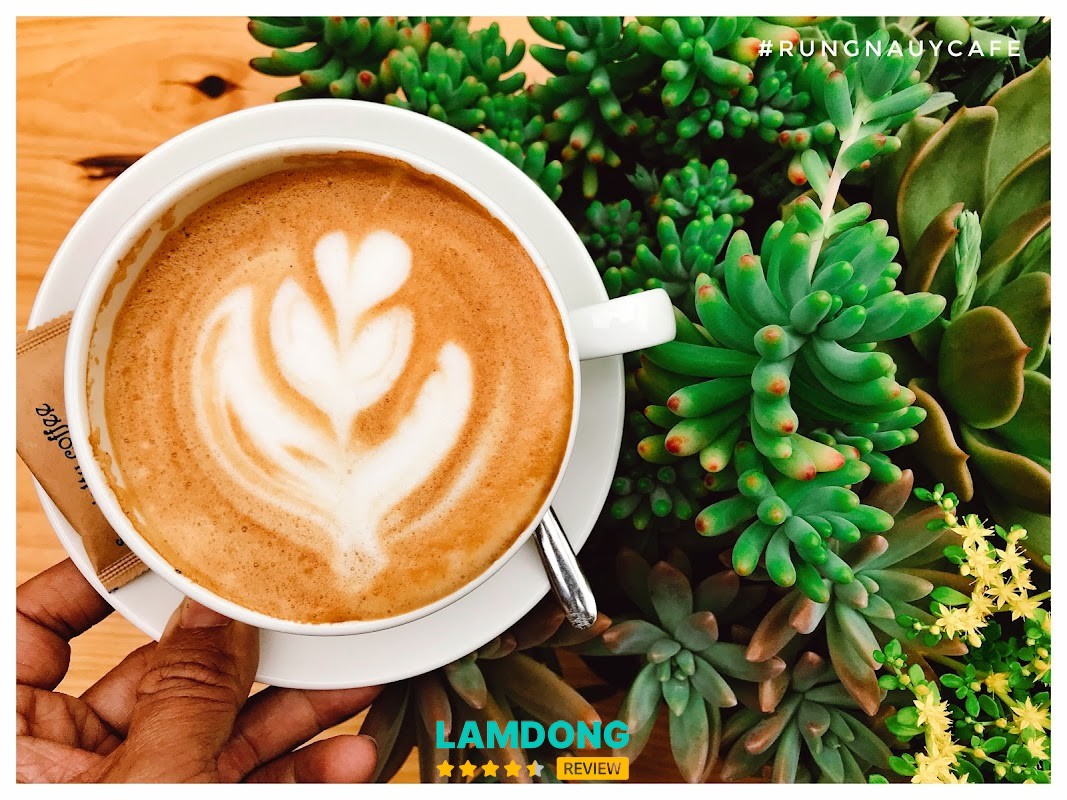 RỪNG NA UY cafe – view hoàng hôn Đà Lạt