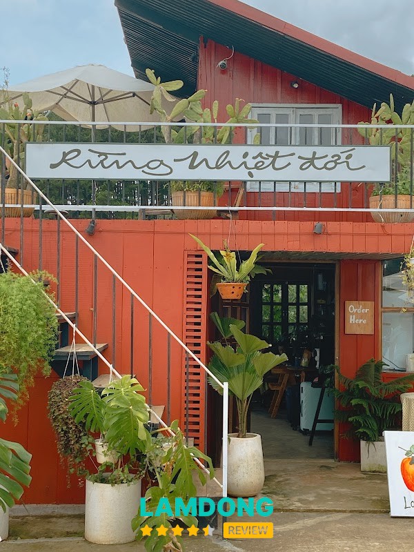 Rừng Nhiệt Đới Cafe – 63 Đèo Prenn, Đà Lạt