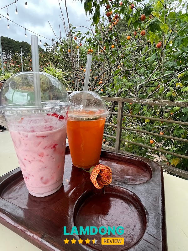 Rừng Nhiệt Đới Cafe – vườn hồng và góc chụp