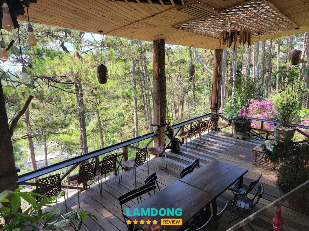 Hoa rừng coffee – view rừng thông Đà Lạt
