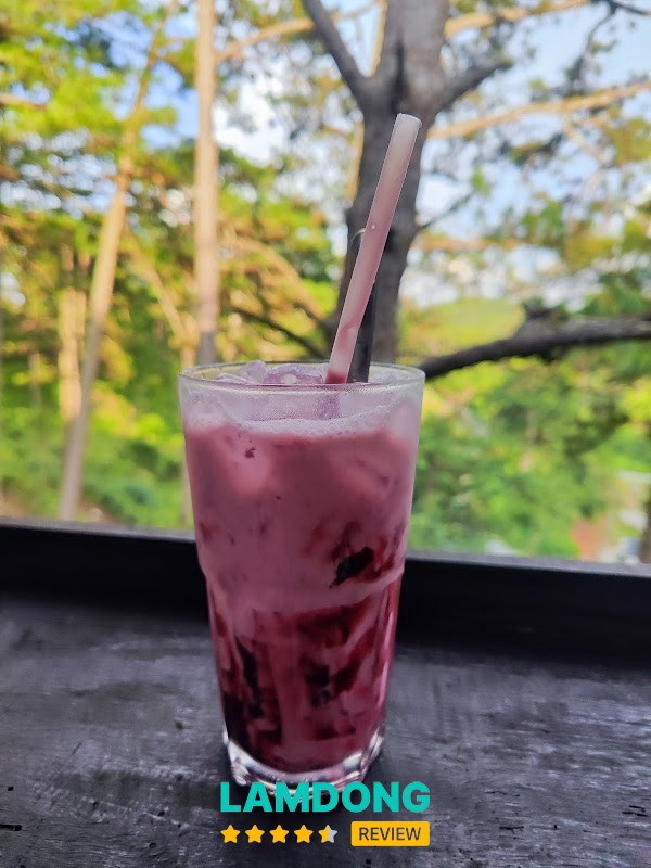 Hoa rừng coffee – không gian rộng giữa rừng thông