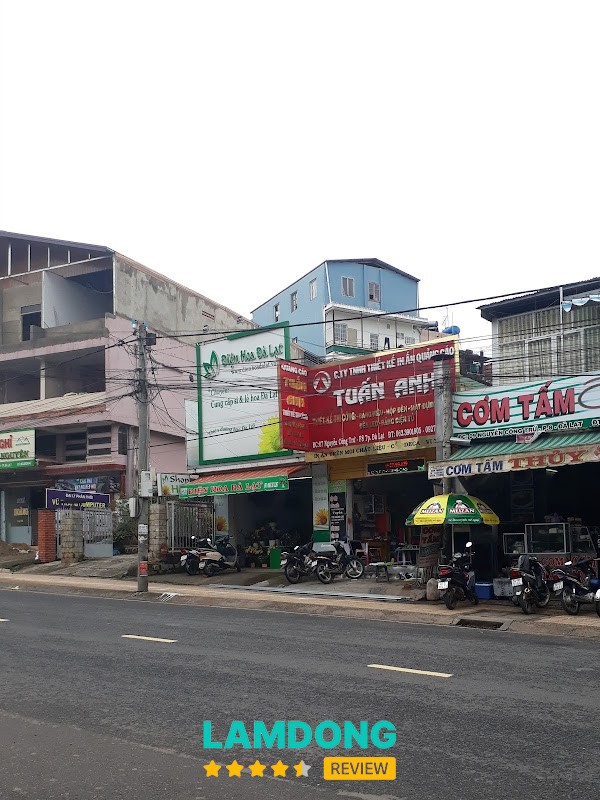 Shop Điện Hoa Đà Lạt – 07 Nguyễn Công Trứ, Lâm Viên - Đà Lạt