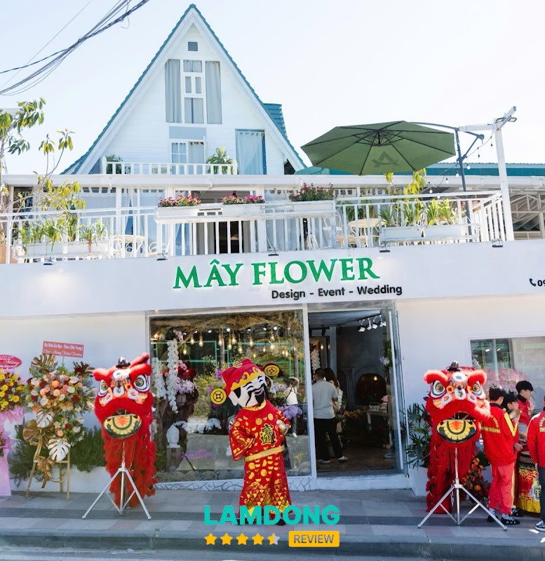 Shop Lan Hồ Điệp Đà Lạt - Hoa Tươi Mây Flower – 06 Đường Nguyên Tử Lực