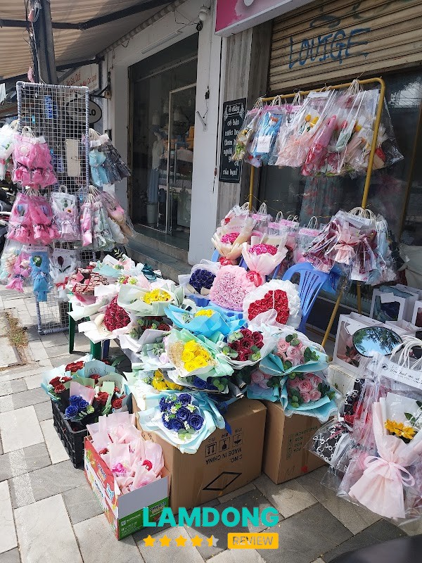 Mía Flower - Hoa Sáp, Hoa Tươi Phan Thiết – 31 Lê Hồng Phong