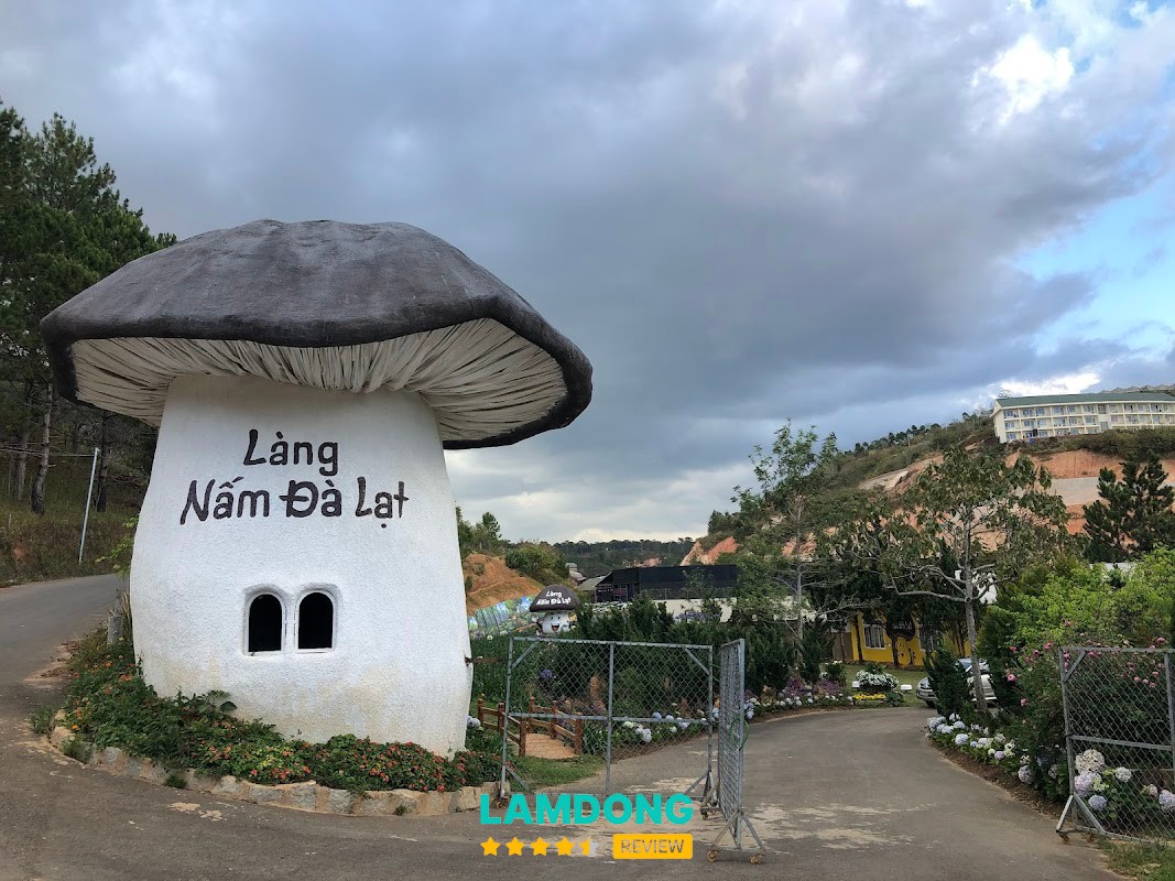 Làng Nấm Đà Lạt – tham quan vườn nấm