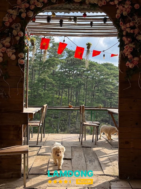 Đèo Mây Farm – hái dâu và rau