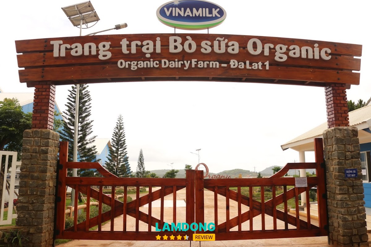 Vinamilk Organic Đà Lạt – trang trại bò sữa
