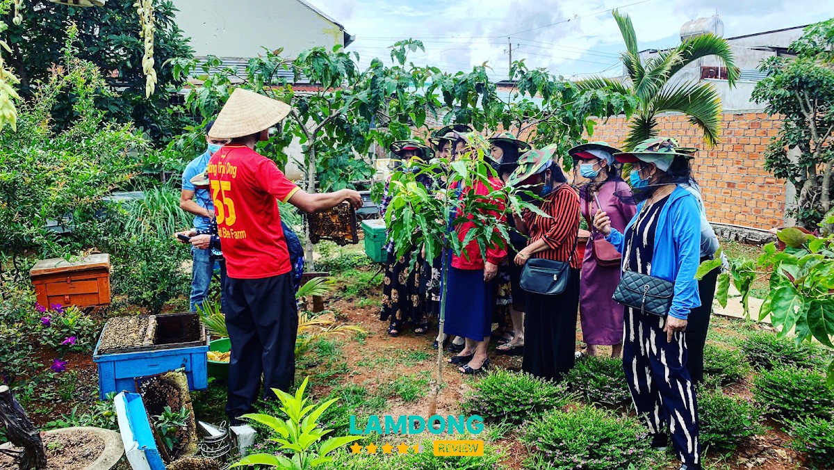 Nông trại Ong DaLat Bee Farm – Tà Nung