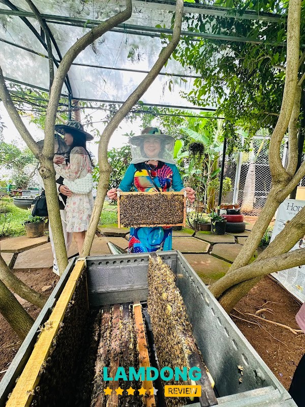 DaLat Bee Farm – trải nghiệm nuôi ong