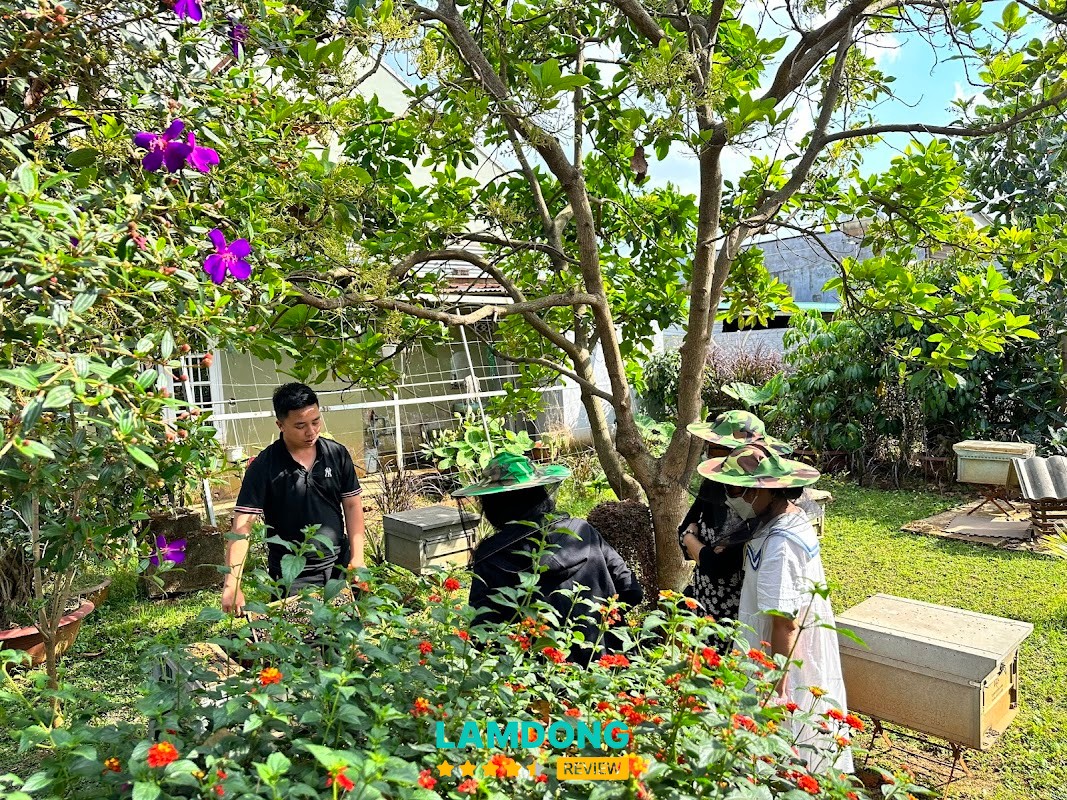 DaLat Bee Farm – nông trại Đà Lạt