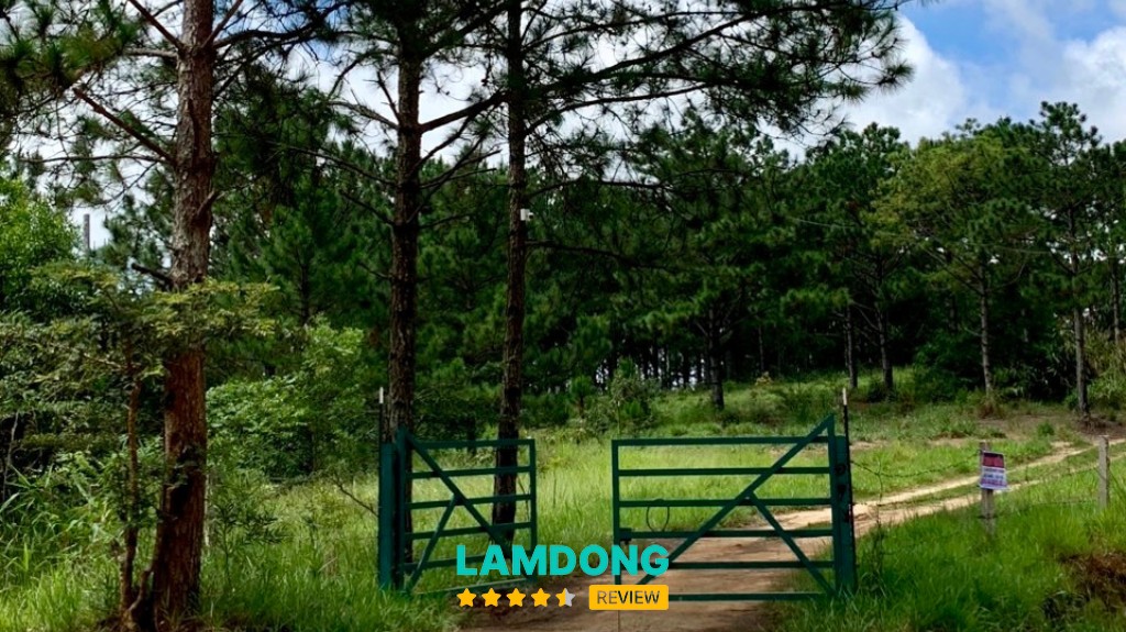 Trang Trại Núi Xanh Đà Lạt – Cam Ly