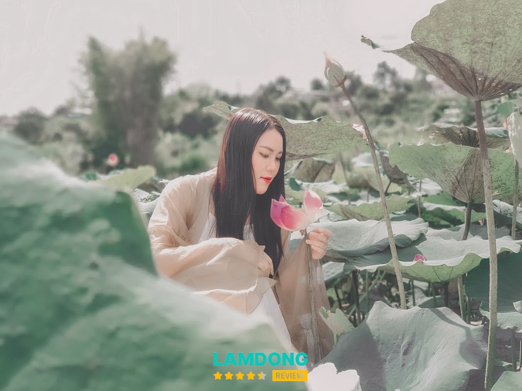 Đà Lạt Moon Farm – nông trại Đà Lạt