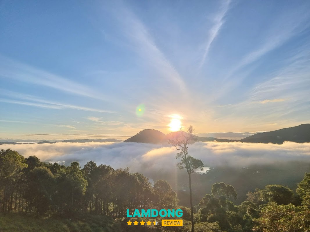 Sivananda Yoga Resort không gian nghỉ dưỡng