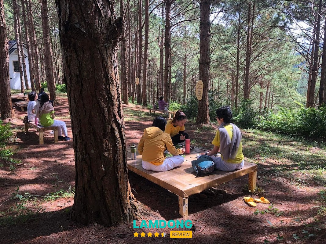 Sivananda Yoga Resort lớp học yoga