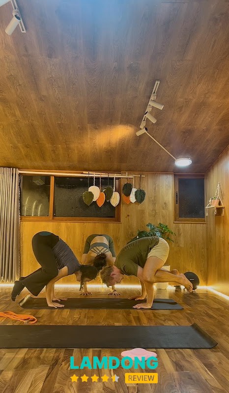 Chill Yoga Đà Lạt