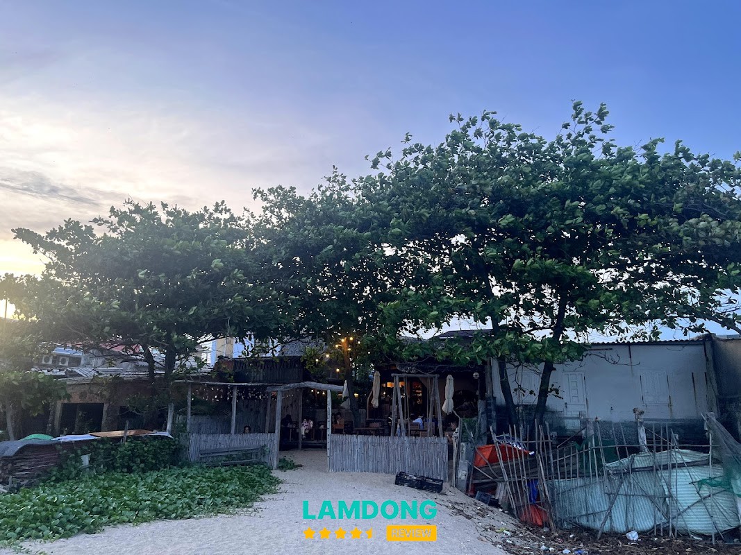 Mơ Hoang – không gian cây xanh và view biển