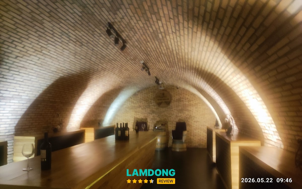 Ladofoods - không gian hầm vang
