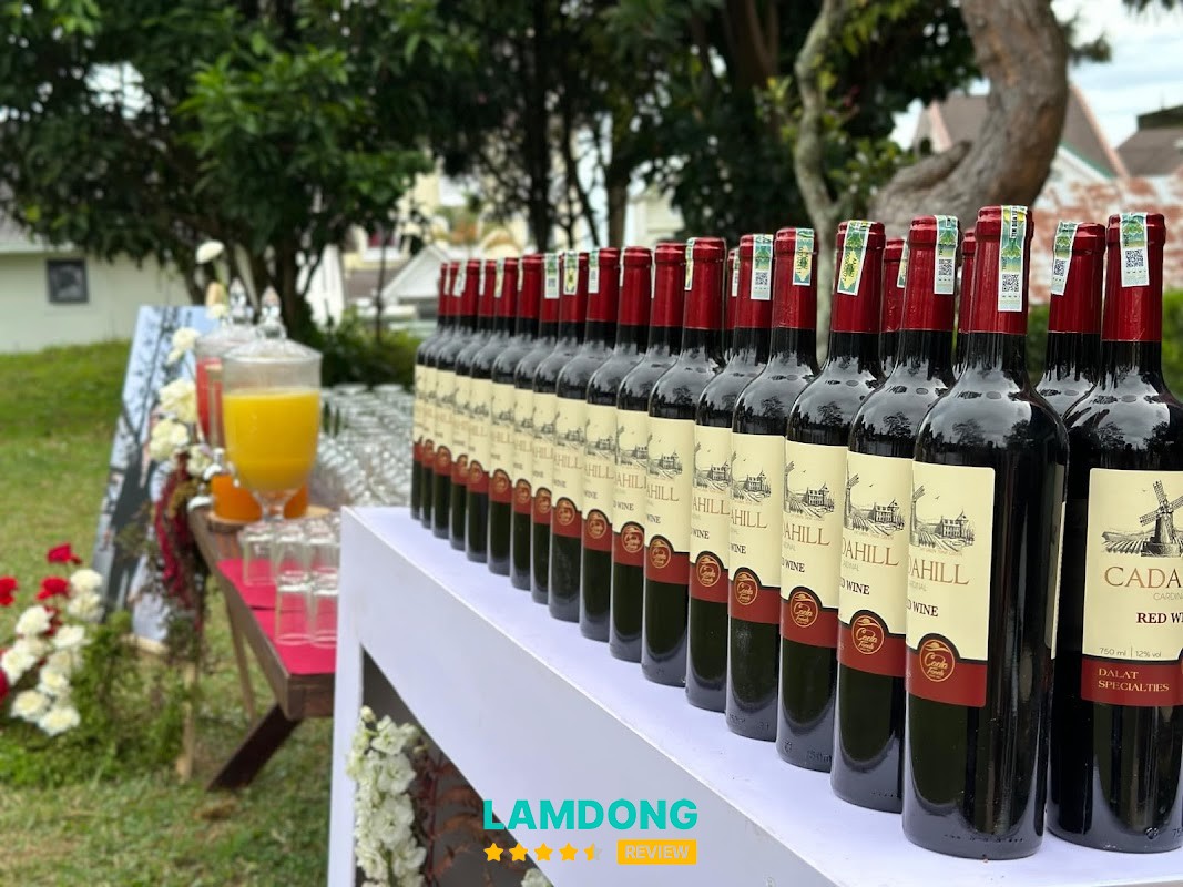 Soju và Rượu vang Đà Lạt các loại