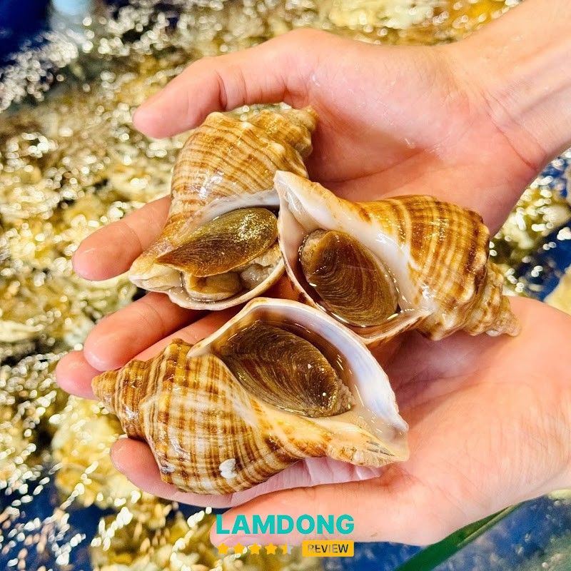 Vựa Hải Sản Thành Văn hải sản tươi sống