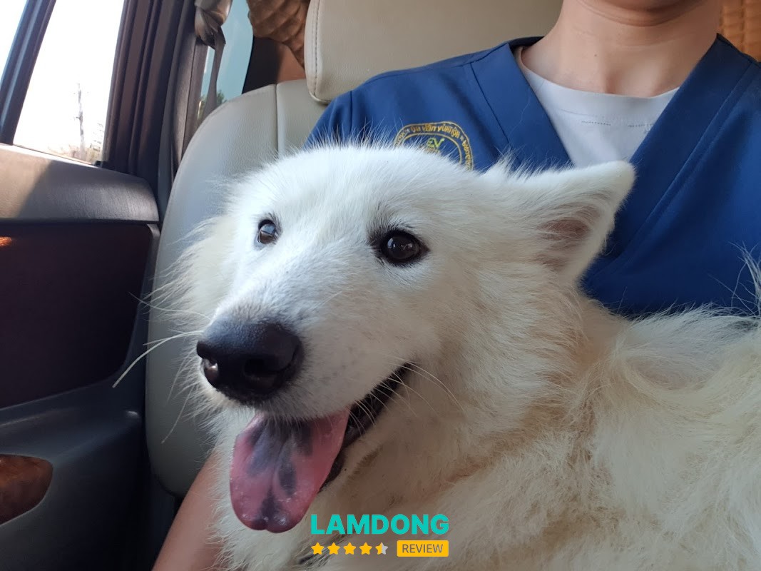 Tiger Pet Bảo Lộc – khu khám thú y