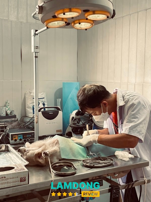 Bệnh xá thú y Bảo Lộc – phòng điều trị