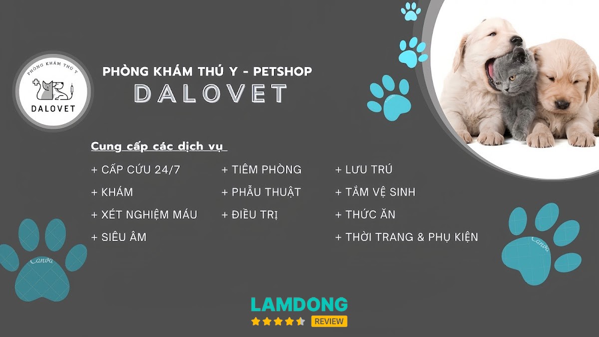 Phòng khám thú y Dalovet Đà Lạt – 49 Trần Nhật Duật
