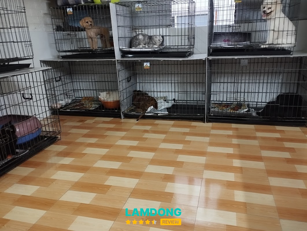 Phòng Khám Thú Y BSTY Toàn – thiết bị phòng khám