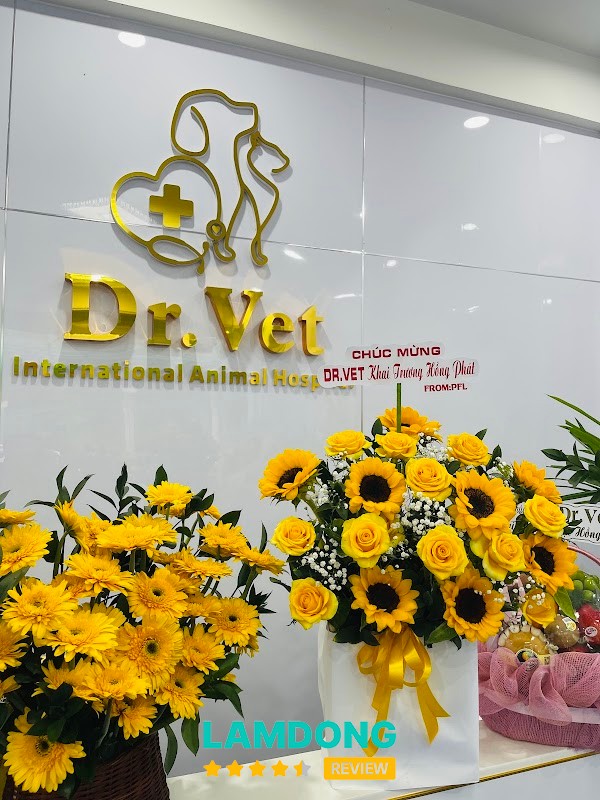 Phòng khám thú y Dr.Vet – 19 Hẻm 21 Mai Hắc Đế