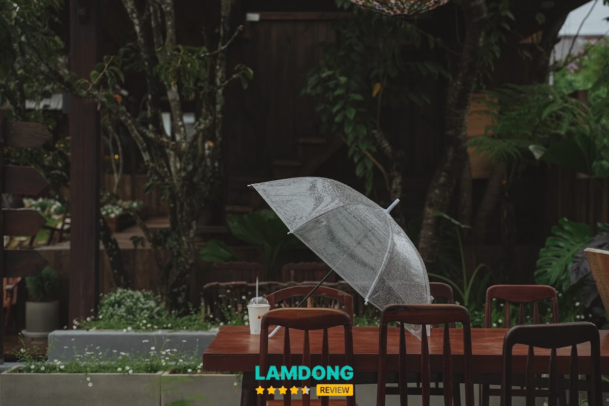 Tiệm cà phê Bình Minh Ơi – 89 Hoàng Hoa Thám, Đà Lạt