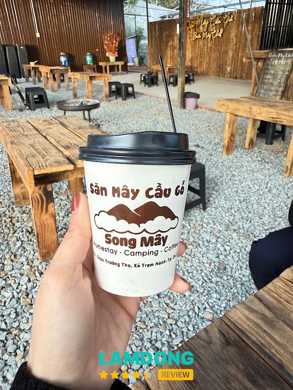 Biển Mây Chill – Đồi Chè Cầu Đất, Đà Lạt