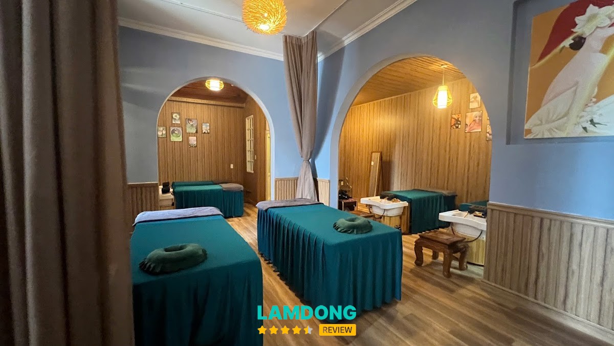 Mây Spa – 289 Đường Tô Hiến Thành