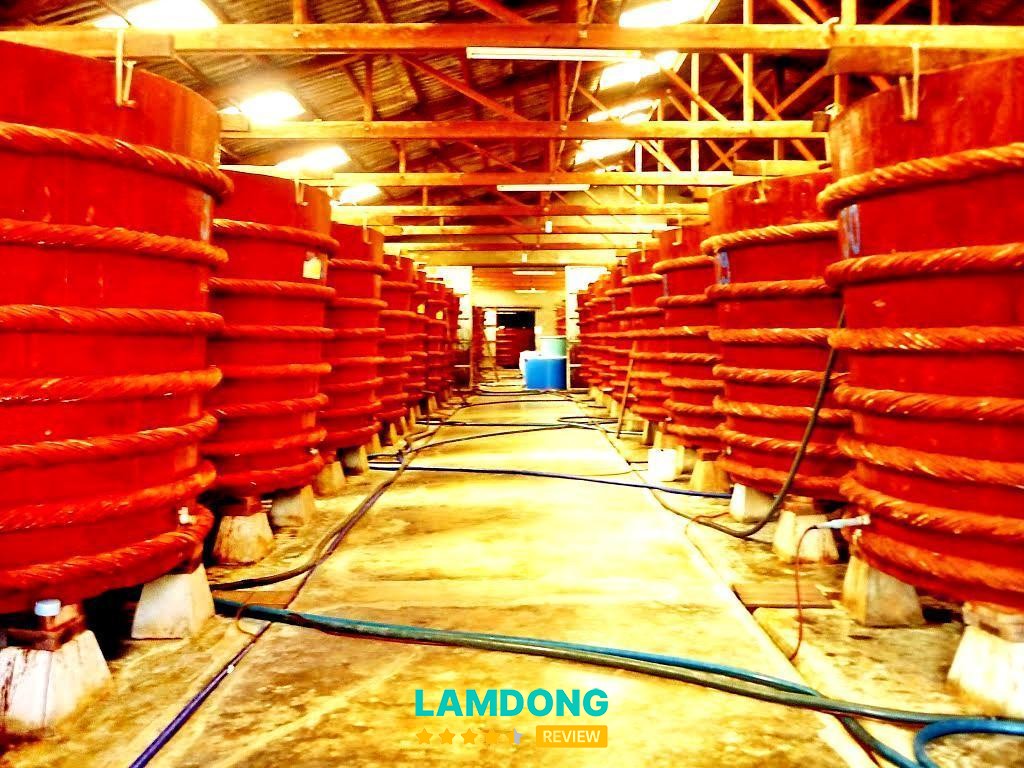 Thuận Hoà – mực một nắng và hải sản khô