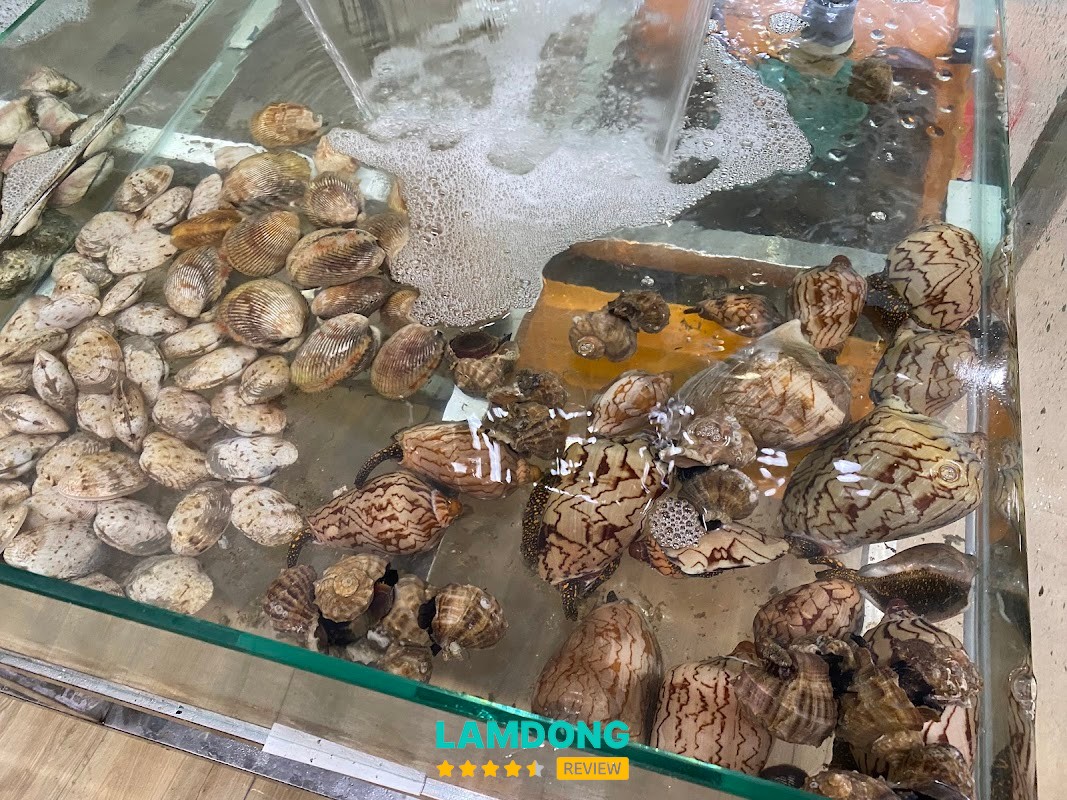 Hải Sản Sao Biển – hải sản tươi