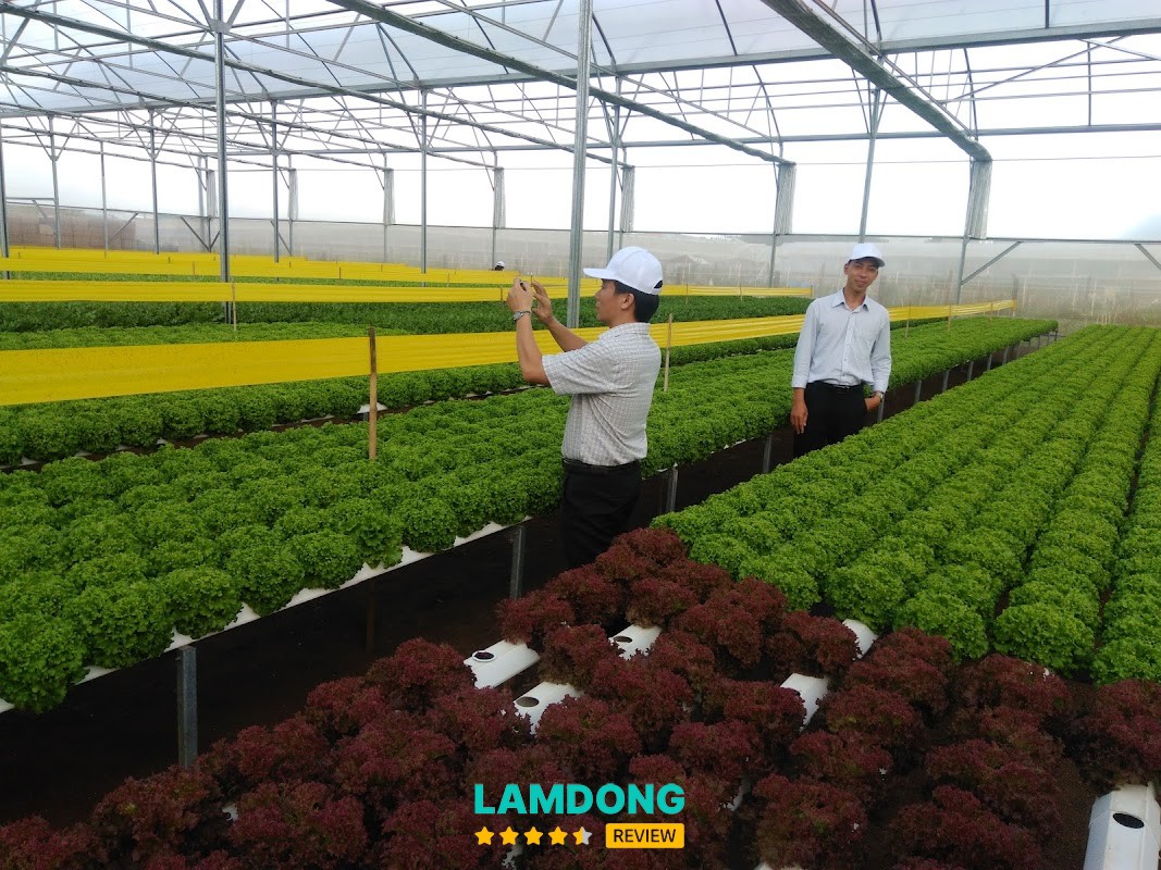 Nông Sản Phong Thúy – Lê Hồng Phong Đức Trọng
