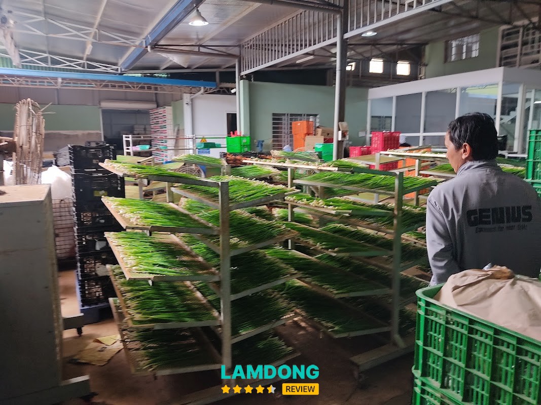 Nông Sản Phong Thúy – rau sạch thủy canh