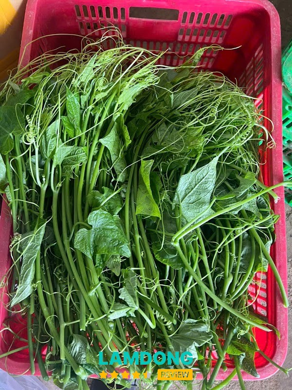 Hợp tác xã Minh Đức – nông sản sạch Lâm Đồng