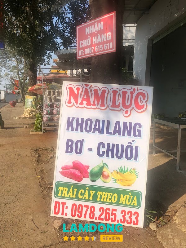 Năm Lực – cửa hàng rau củ Đà Lạt