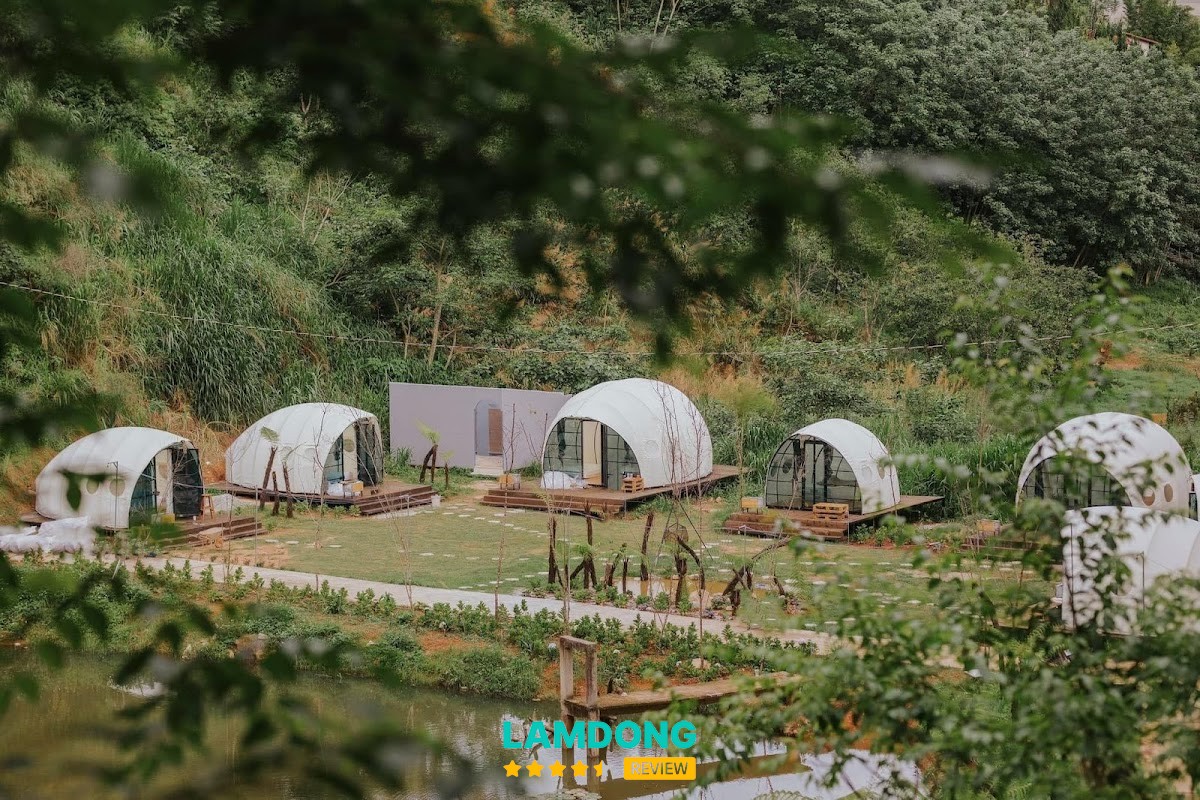 Forest Scent Glamping Chill – 86/2 Khe Sanh Đà Lạt