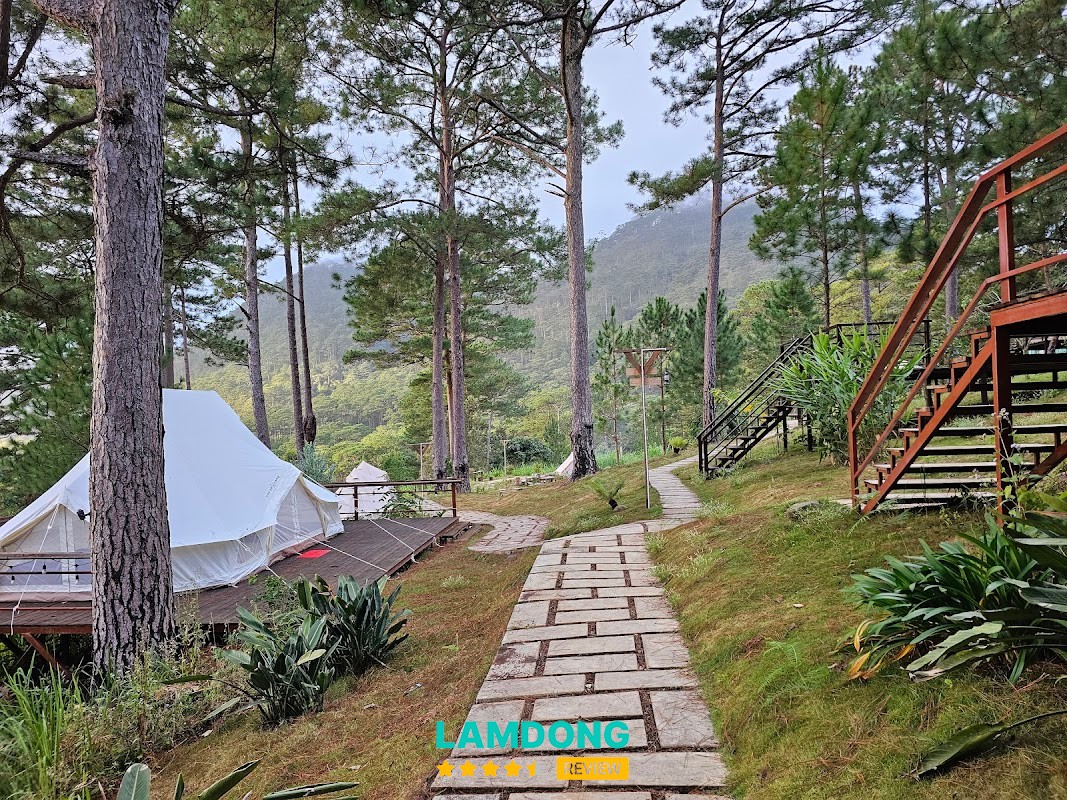 Ajisai Glamping – Xuân Hương Đà Lạt