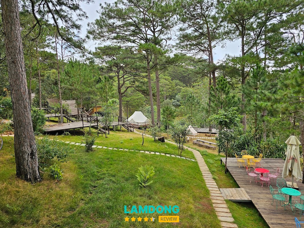 Ajisai Glamping – rừng thông và đồi núi