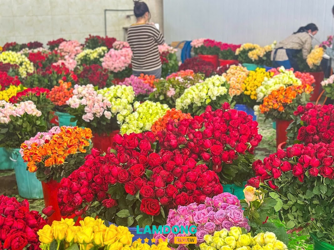 Dalat.Flowers – shop hoa tươi ở Đà Lạt