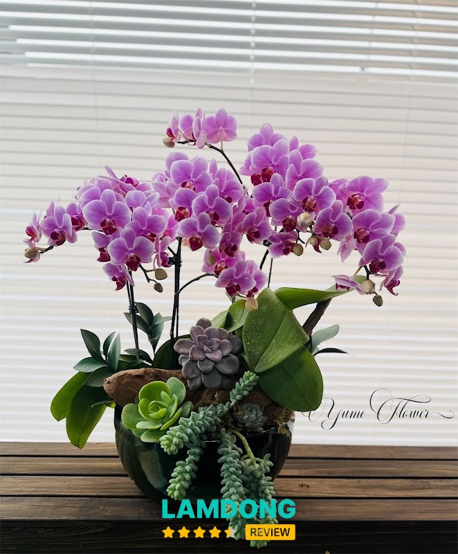 Tiệm hoa Đà Lạt Yume Flower – Nguyễn Công Trứ
