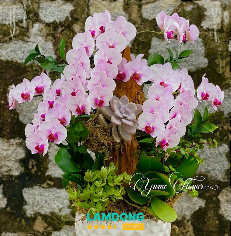 Yume Flower Đà Lạt – bó hoa tinh tế